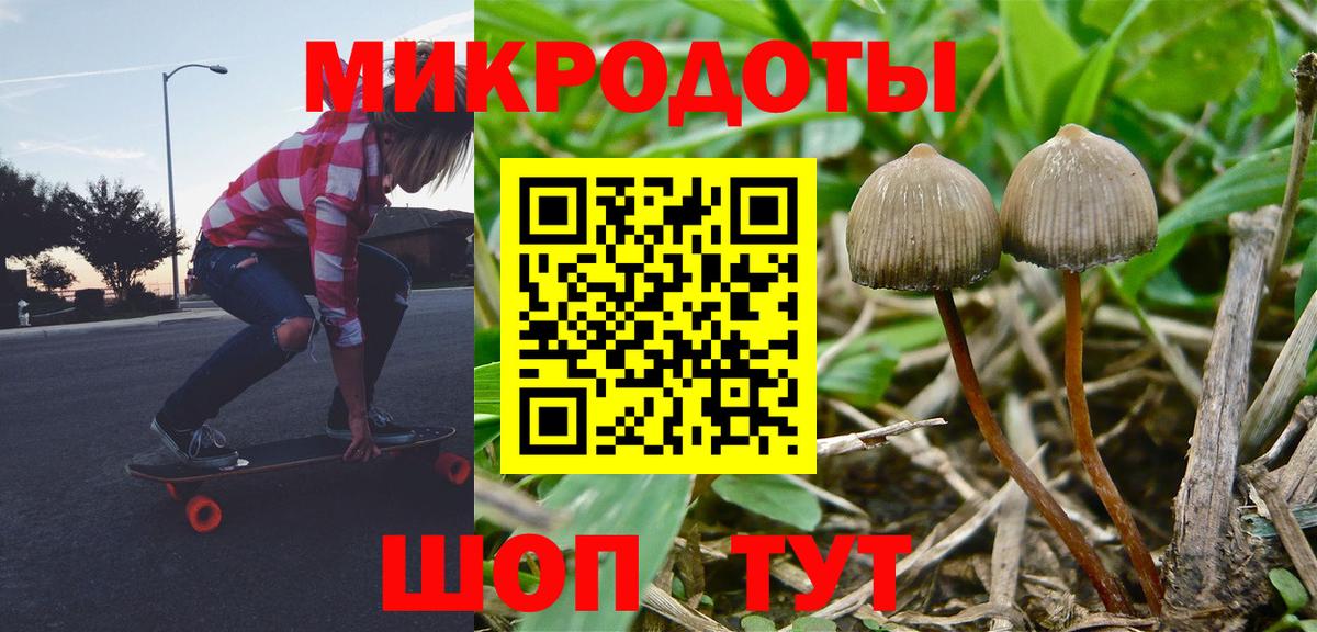 Псилоцибиновые грибы Psilocybe  Вход с VPN  Саров 
